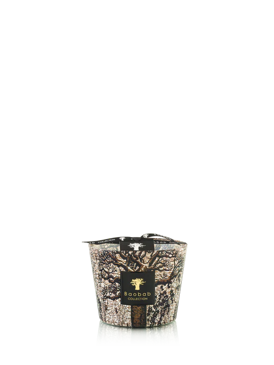 Bougie Baobab Sacred Trees Morondo